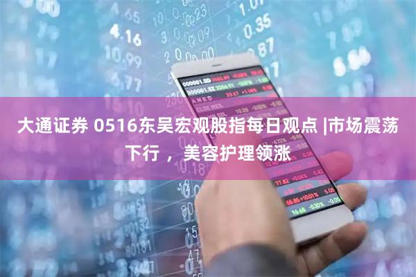 大通证券 0516东吴宏观股指每日观点 |市场震荡下行 ，美容护理领涨